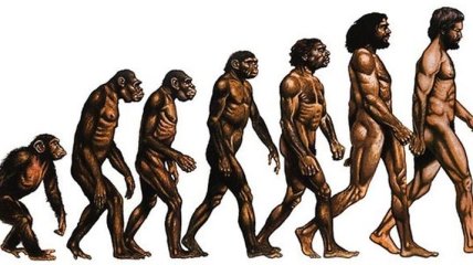 Ученые: Эволюция человека еще продолжается