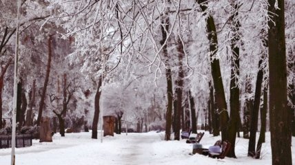 Погода в Украине 22 января: пасмурно, без осадков