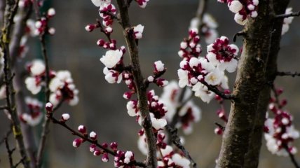 Какой праздник 22 марта: народные приметы и запреты