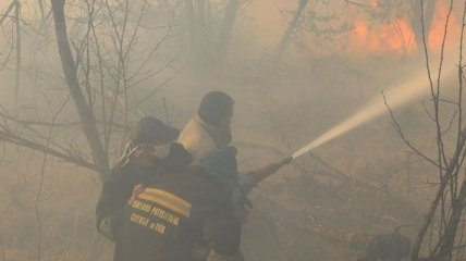 Сколько пожаров зафиксировали за сутки на Киевщине