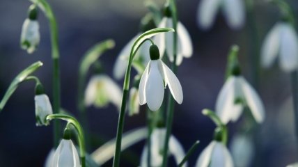 Какой праздник 20 марта: народные приметы и запреты