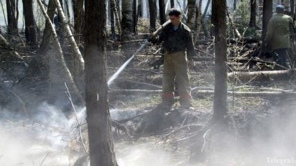 Россиянам не хватает средств на тушение лесных пожаров