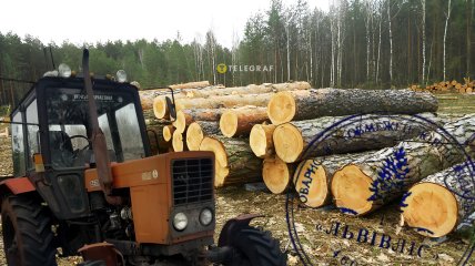 Лісозаготівля