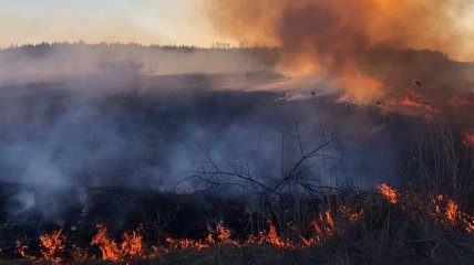 На Киевщине обнаружили еще один масштабный пожар, горит сухая трава (Видео)