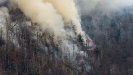 Лесной пожар в Теннесси: эвакуированы более 14 тысяч человек