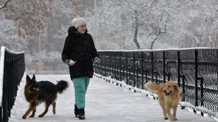 Украинцам обещают похолодание - ночью до 14° мороза