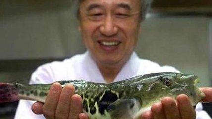 В Японии разрешили свободную продажу ядовитой рыбы фугу