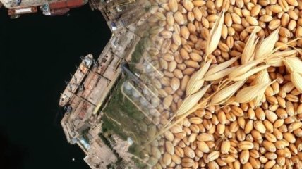 Зерно загружают в Крыму