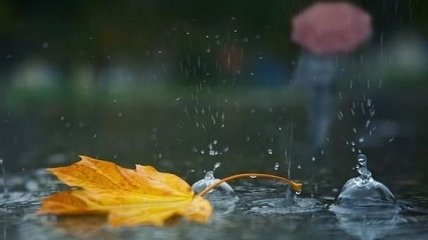 Сильные дожди пройдут в Украине на выходных