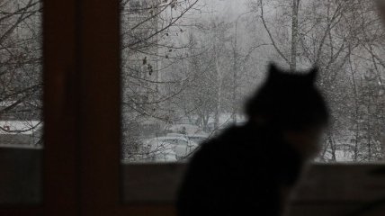 Мороз и снегопады: какой будет погода в Украине на День влюбленных  