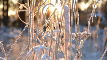 Прогноз погоды на 9 января: в Украине солнце и морозы до -15