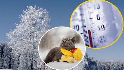 Морозы не отступают из Украины