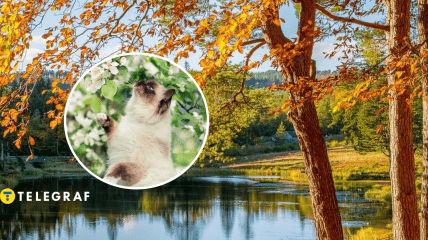 Тепла погода