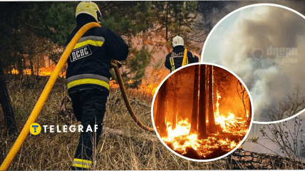 В Обухівці горить ліс