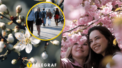 Уже совсем скоро в стране начнут цвести деревья.