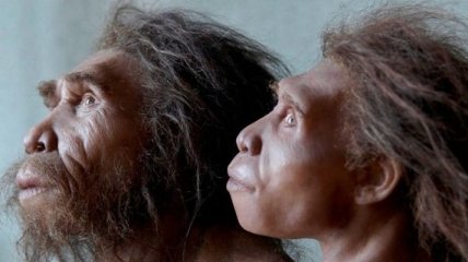 В Танзании найдены следы древнего человека