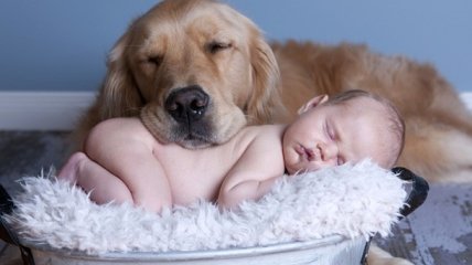 20 безумно милых фото младенцев и собак