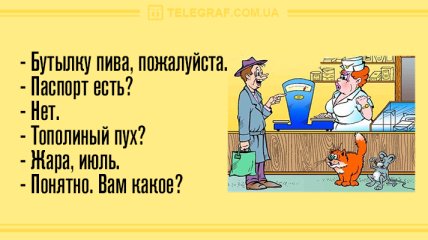 Время улыбаться: утренние анекдоты 22 апреля