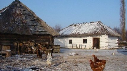 У Росії дід з бабусею спалили в печі свого онука