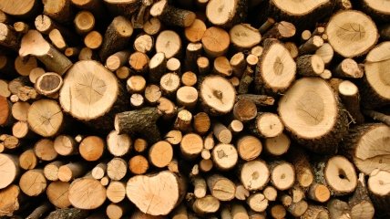 Некоторые виды древесины могут выделять вредные вещества при сгорании