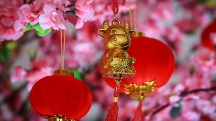 Время выходить за рамки: как Китайский Новый год в Водолее может реализовать самые "нереальные" желания