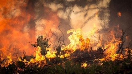 Пожар на свалке, в Черниговской области, произошел из-за поджога