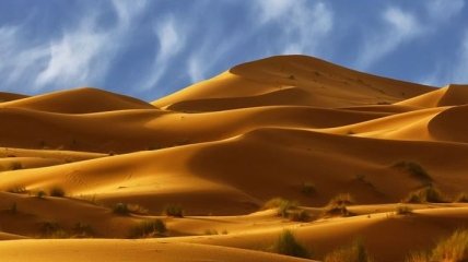 Ученые придумали, как озеленить Сахару  