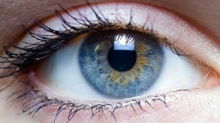 Что может рассказать о вашем здоровье цвет глаз