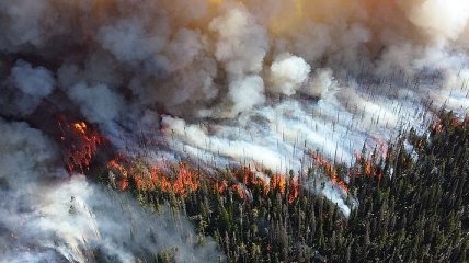 Синоптики прогнозируют чрезвычайный уровень пожарной опасности в пяти областях