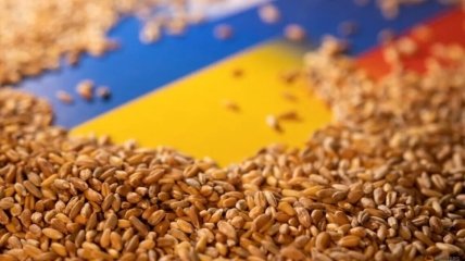 Еврокомиссия продлила запрет на импорт агропродукции из Украины