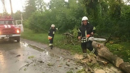 На Закарпатье обрушился сильный ураган: обесточены 478 населенных пунктов