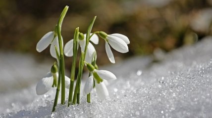 Прогноз погоди на найближчі дні