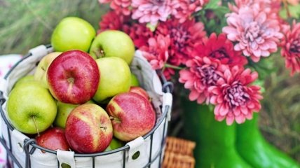 Далеко не "супер-фуд": диетолог рассказал, почему пользу яблок переоценивают 