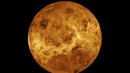 Ученые рассказали, какие организмы живут на Венере 