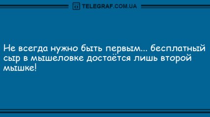 Лучик позитива вам в дом: лучшие анекдоты на вечер