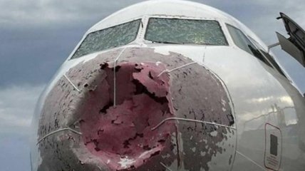 Украинские пилоты стали героями в Турции, спасая жизни более 100 пассажиров (Видео)
