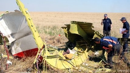 Нидерланды представят окончательный отчет о катастрофе MH17 в августе