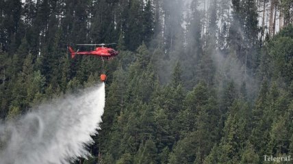 Восемь стран направили спасателей в Швецию бороться с лесными пожарами