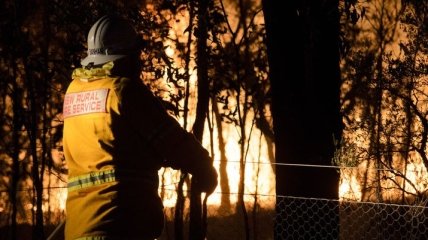 Пожары в Австралии не утихают уже 7-й день и достигли предела