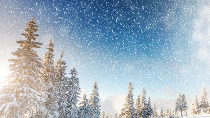 Сніг 21 грудня йтиме по всій Україні