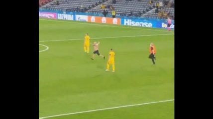 Болельщик совершил забег на поле во время матча Швеция - Украина (видео)