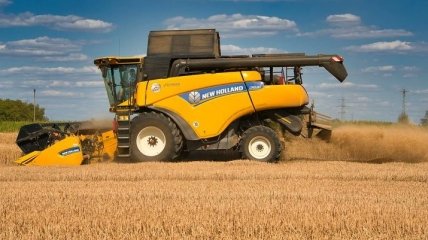 В Україні розпочалися жнива