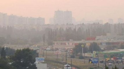 ГСЧС: В Киеве дым, потому что в Ирпене горит торф