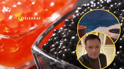 Красная и черная икра. Дмитрий Загуменный Фото Freepik/dmytrozagumenny