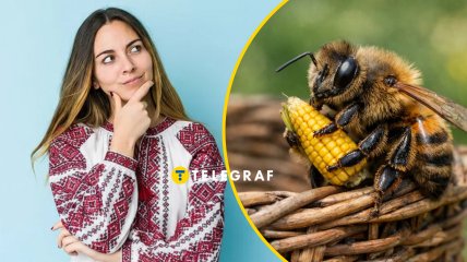 Що означає це слово?