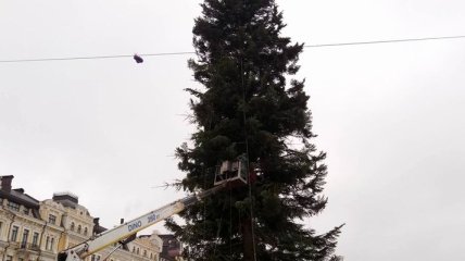 Праздник приближается: в Киеве устанавливают главную елку страны