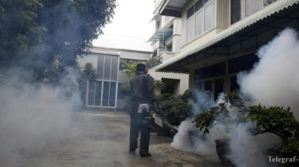 Десятки тысяч заболевших: Пакистан переживает одну из крупнейших эпидемий денге 