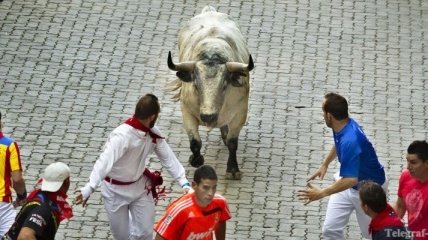 На фестивале в Памплоне все еще убивают быков