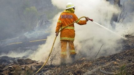 В Австралии введено чрезвычайное положение из-за лесного пожара