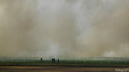 Пожары в Австралии: ученые сомневаются в том, что естественные "поглотители" углерода справятся с последствиями